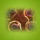 Free play online Cell Cycle APK Free play online Cell Cycle APK