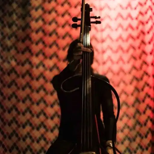 Play Cello Cover 01 APK Play Cello Cover 01 APK