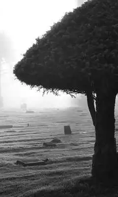 Play Cemetery Wallpapers