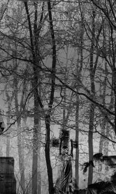 Play Cemetery Wallpapers