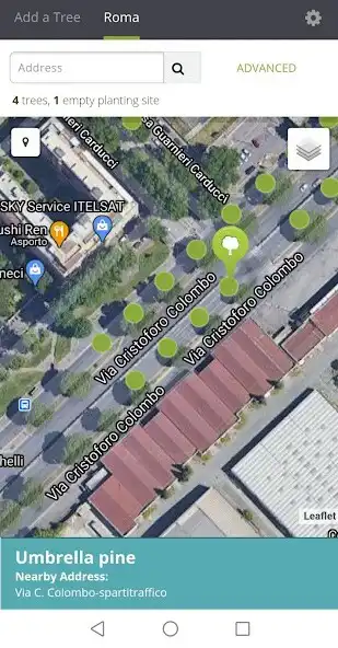 Play Censimento Alberi di Roma and enjoy Censimento Alberi di Roma with UptoPlay Play Censimento Alberi di Roma and enjoy Censimento Alberi di Roma with UptoPlay