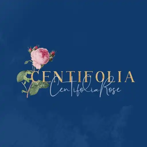 Play Centifolia Rose APK