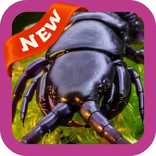 Play Centipede Wallpaper APK