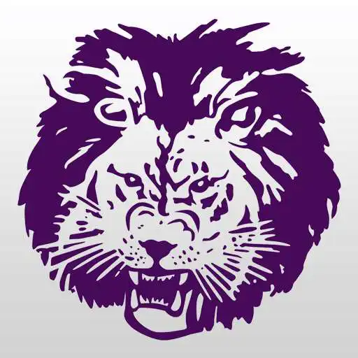 Play Central Lyon CSD APK Play Central Lyon CSD APK