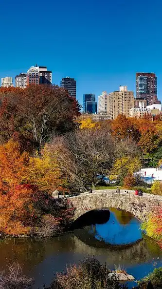 Play Central Park Wallpaper  and enjoy Central Park Wallpaper with UptoPlay