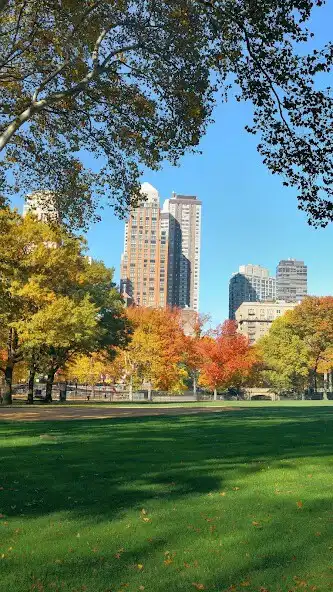 Play Central Park Wallpaper as an online game Central Park Wallpaper with UptoPlay