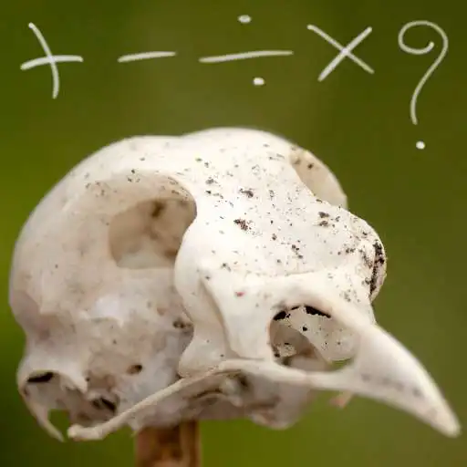 Run free android online Cerebral challenges APK