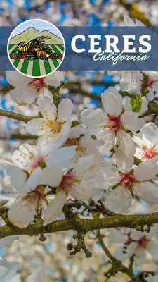 Play Ceres CA  and enjoy Ceres CA with UptoPlay