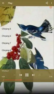 Play Cerulean Warbler