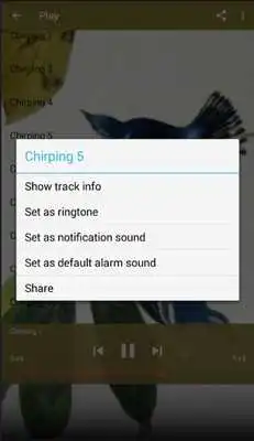 Play Cerulean Warbler