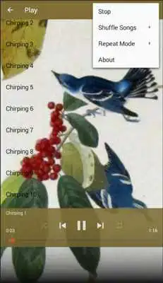 Play Cerulean Warbler