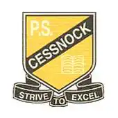 Free play online Cessnock Public School APK
