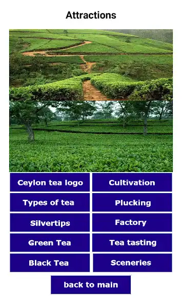 Play Ceylon Tea  and enjoy Ceylon Tea with UptoPlay