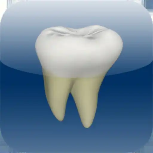 Play CGM VISODENT 3D App APK Play CGM VISODENT 3D App APK
