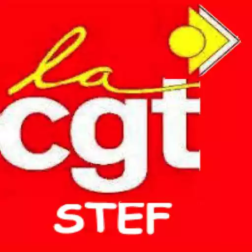Play CGT STEF TRS LE MANS APK
