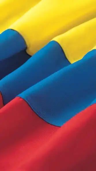 Play Chad flag as an online game Chad flag with UptoPlay