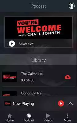 Play Chael Sonnen