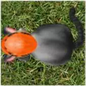 Free play online Chainsaw Cat APK