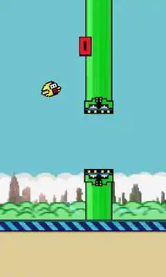 Play Chaknya Bird