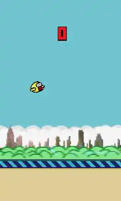 Play Chaknya Bird