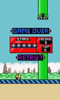 Play Chaknya Bird