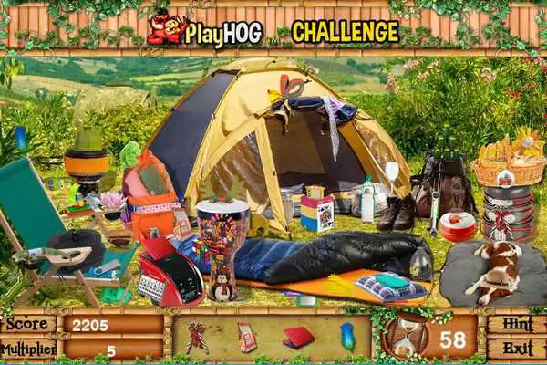 Play Challenge #146 Gone Camping New Free Hidden Object