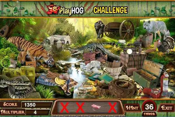 Play Challenge #200 Jungle Fever New Hidden Object Game