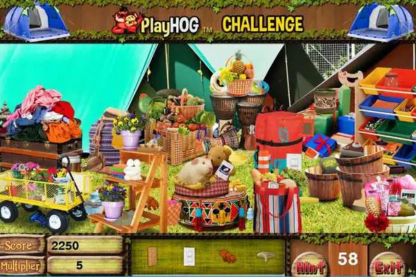 Play Challenge #222 Camp Out Free Hidden Objects Games