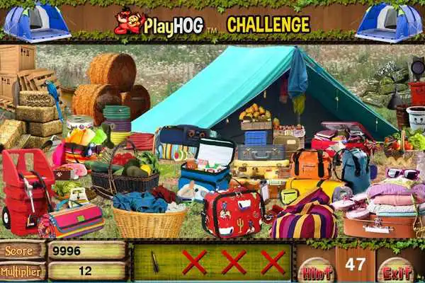 Play Challenge #222 Camp Out Free Hidden Objects Games