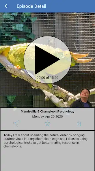 Play Chameleon Academy  and enjoy Chameleon Academy with UptoPlay