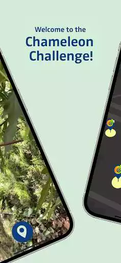 Play Chameleon Challenge as an online game Chameleon Challenge with UptoPlay