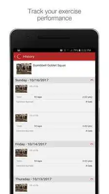 Play Champion PT and Performance
