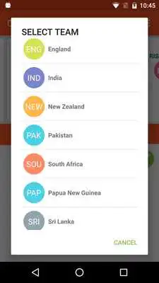 Play Champions Cricket - Cricelite