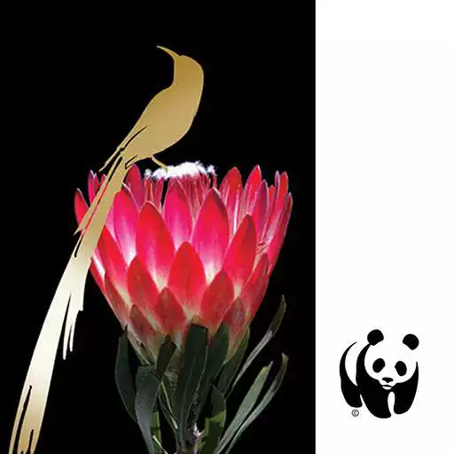 Play Champion Wine Farm Guide APK