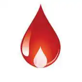 Free play online Chandrapur Blood Helpline APK