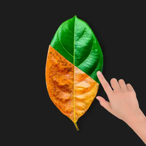 Play Change Color in Photos APK