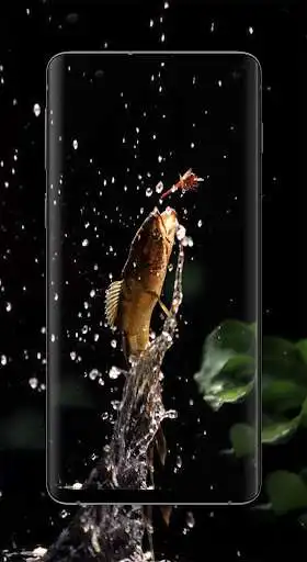 Play Channa Fish Wallpaper HD 4K as an online game Channa Fish Wallpaper HD 4K with UptoPlay