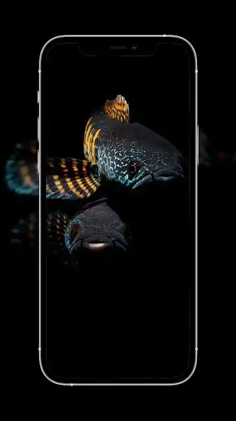 Play Channa Fish Wallpapers  and enjoy Channa Fish Wallpapers with UptoPlay