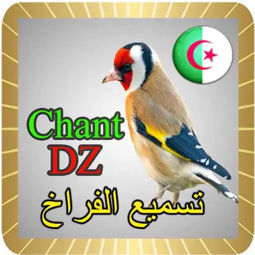 Play Chant Chardonneret Algerie APK