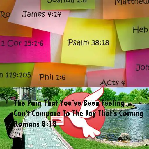 Play Chapter And Bible Verses APK