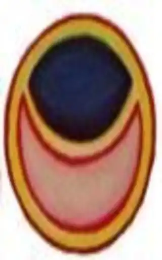 Play Charanchihn  and enjoy Charanchihn with UptoPlay