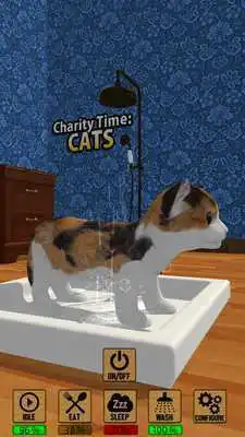 Play Charity Time: Cats