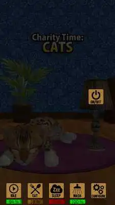 Play Charity Time: Cats