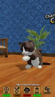 Play Charity Time: Cats