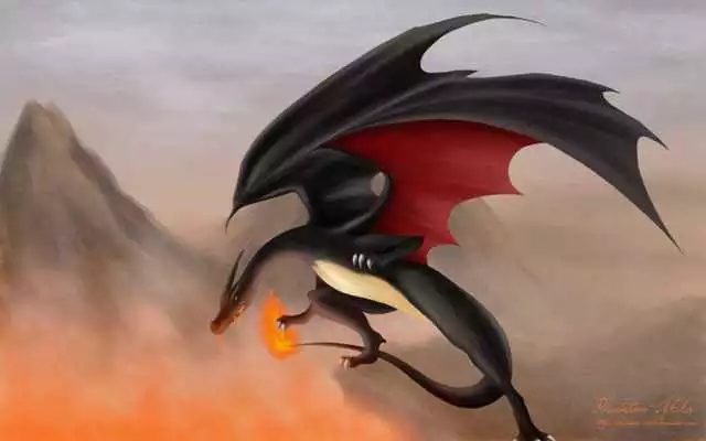 Play Charizard Wallpaper Play Charizard Wallpaper