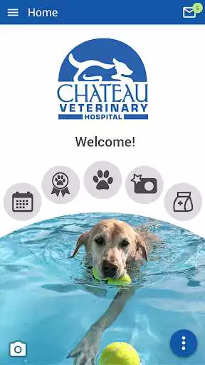 Play Chateau Veterinary Hospital  and enjoy Chateau Veterinary Hospital with UptoPlay