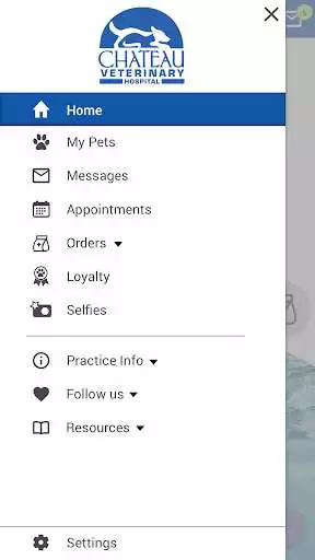 Play Chateau Veterinary Hospital as an online game Chateau Veterinary Hospital with UptoPlay