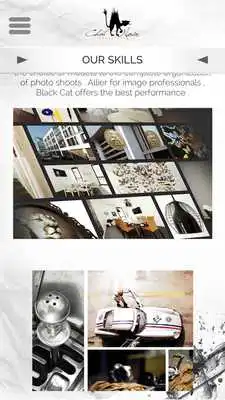 Play Chat Noir Agency