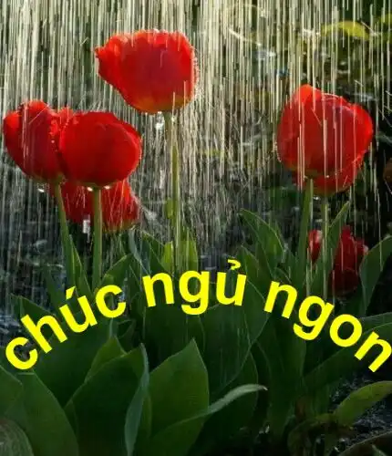 Play chúc ngủ ngon  and enjoy chúc ngủ ngon with UptoPlay