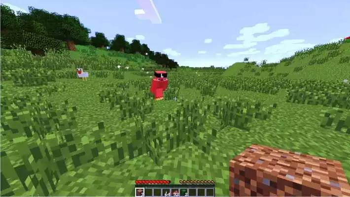 Play Cheat Minecraft